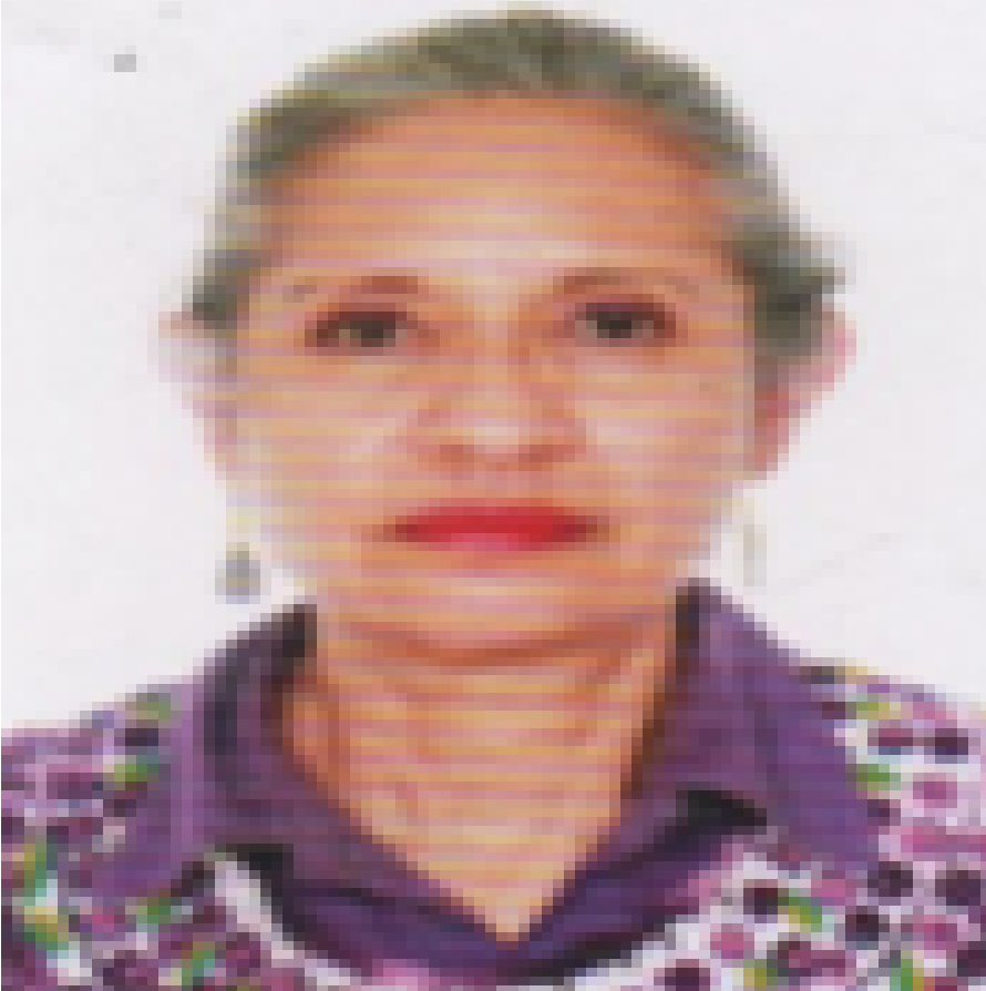 SIN FOTO