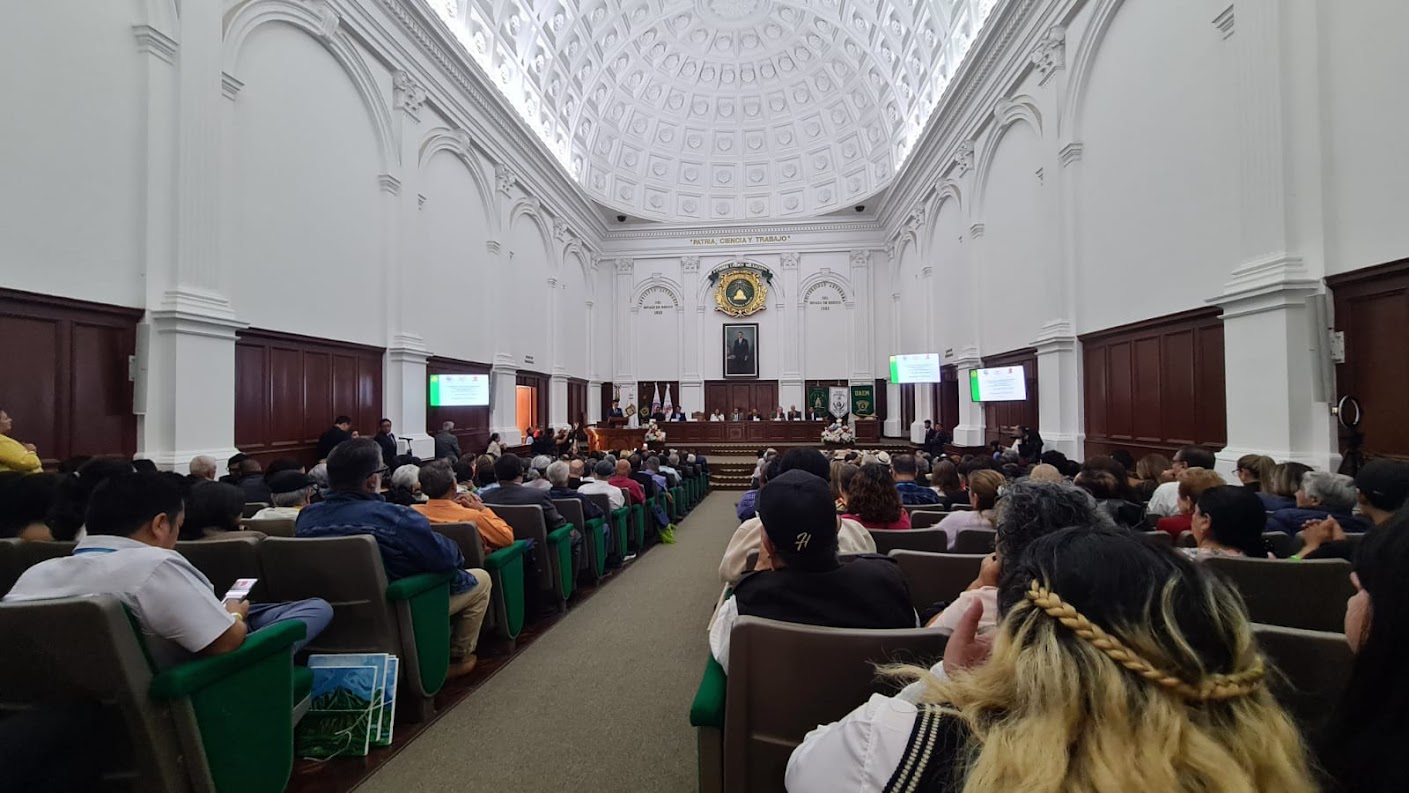 Imagen de Galeria